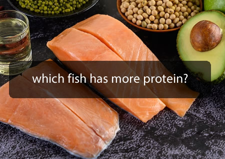 which fish has more protein