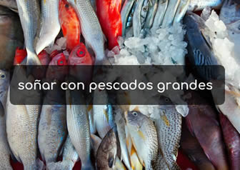 soñar con pescados grandes