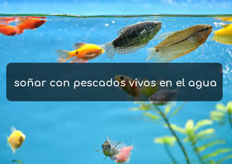 soñar con pescados vivos en el agua